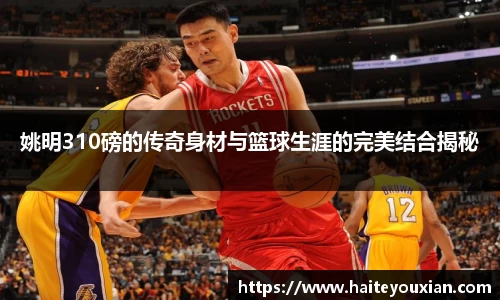 姚明310磅的传奇身材与篮球生涯的完美结合揭秘